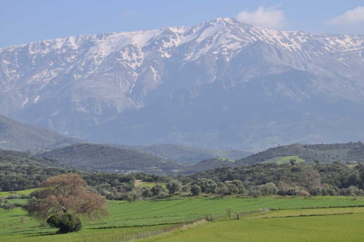 143 Griekenland mrt 2010