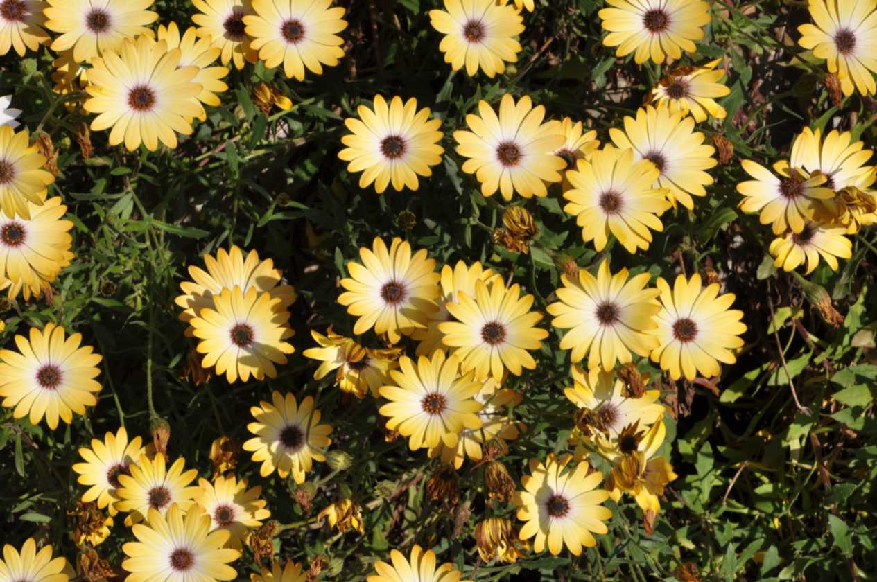 145 Griekenland mrt 2010