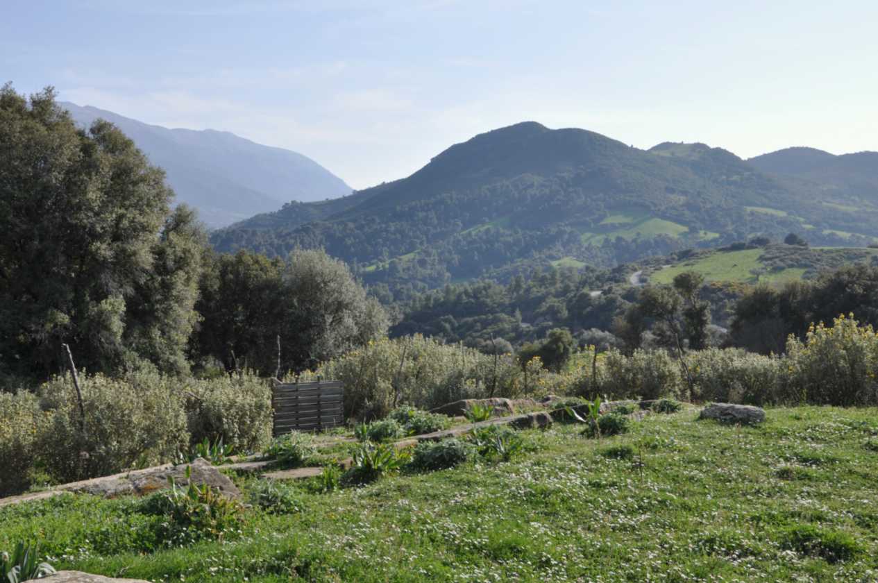 153 Griekenland mrt 2010