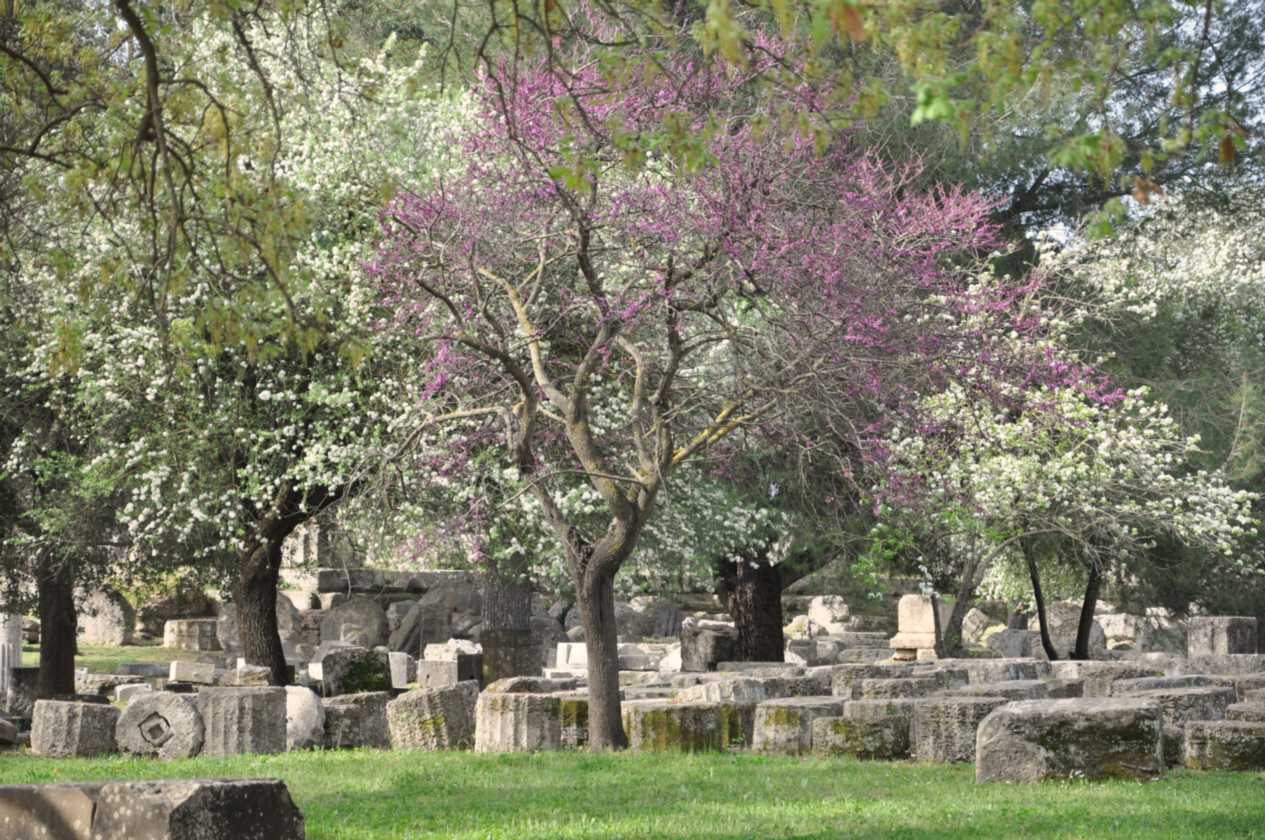 190 Griekenland mrt 2010