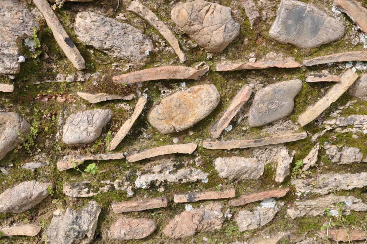 213 Griekenland mrt 2010