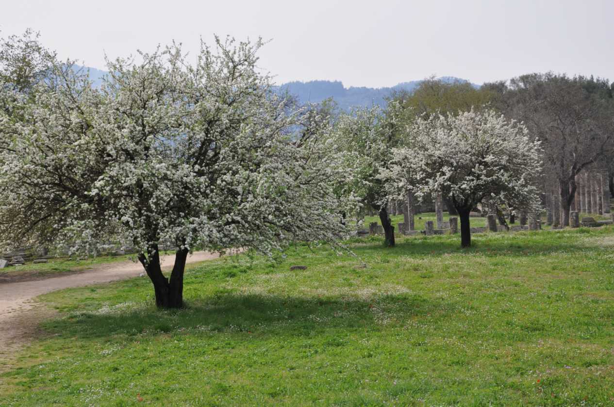 220 Griekenland mrt 2010