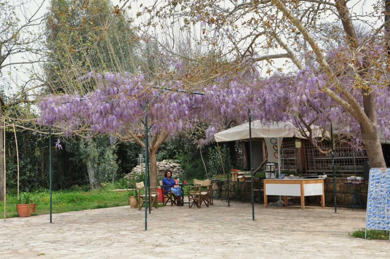 241 Griekenland mrt 2010