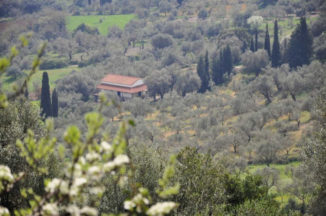 245 Griekenland mrt 2010