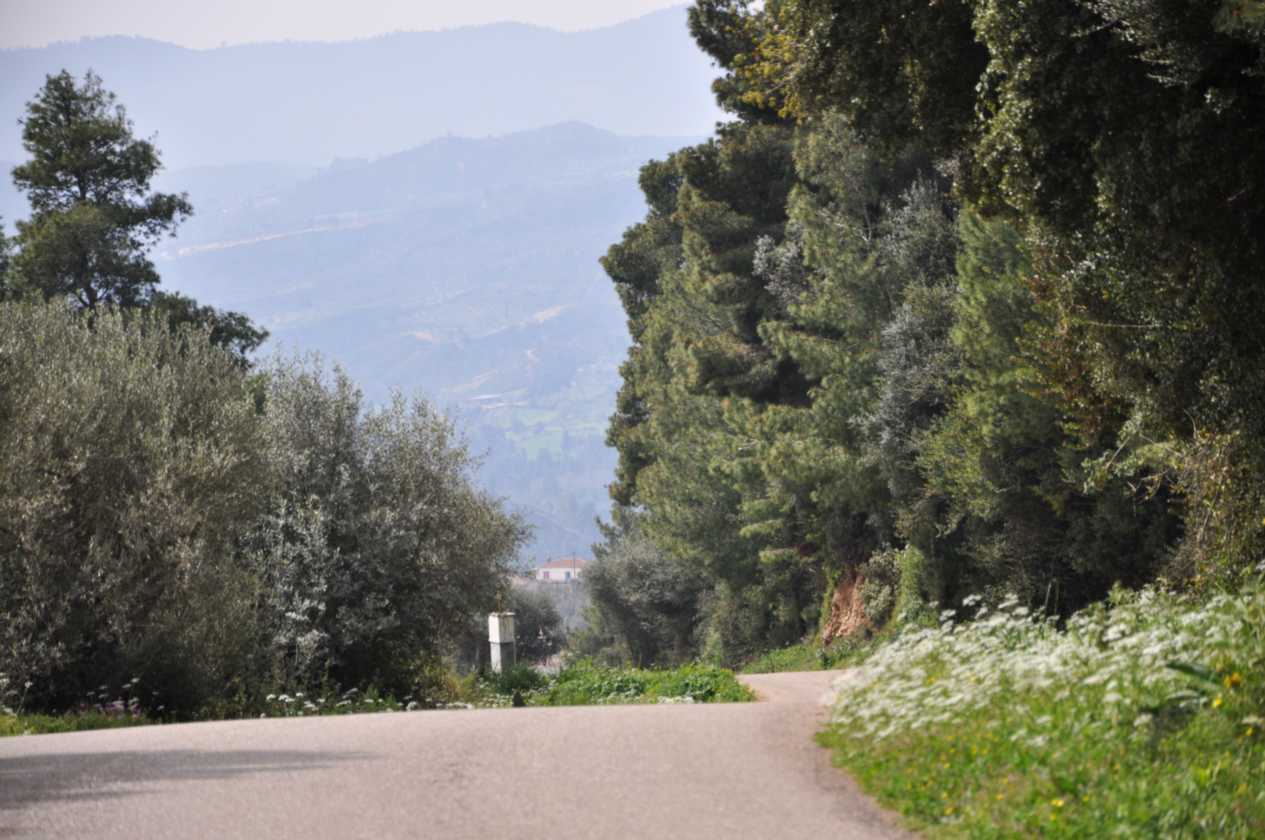 246 Griekenland mrt 2010