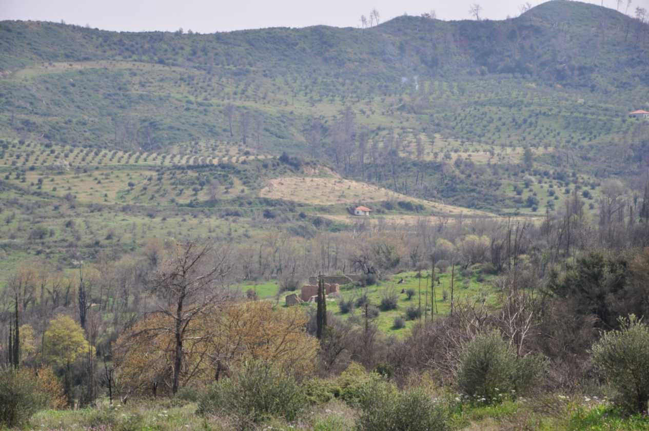 251 Griekenland mrt 2010