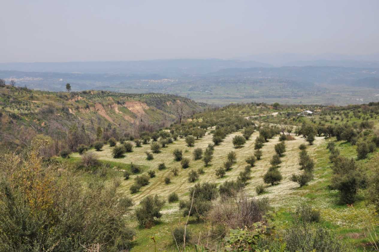 253 Griekenland mrt 2010