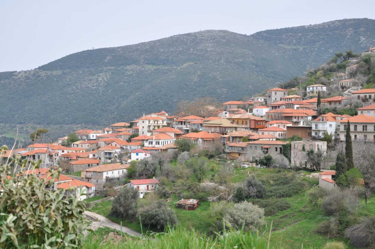 263 Griekenland mrt 2010