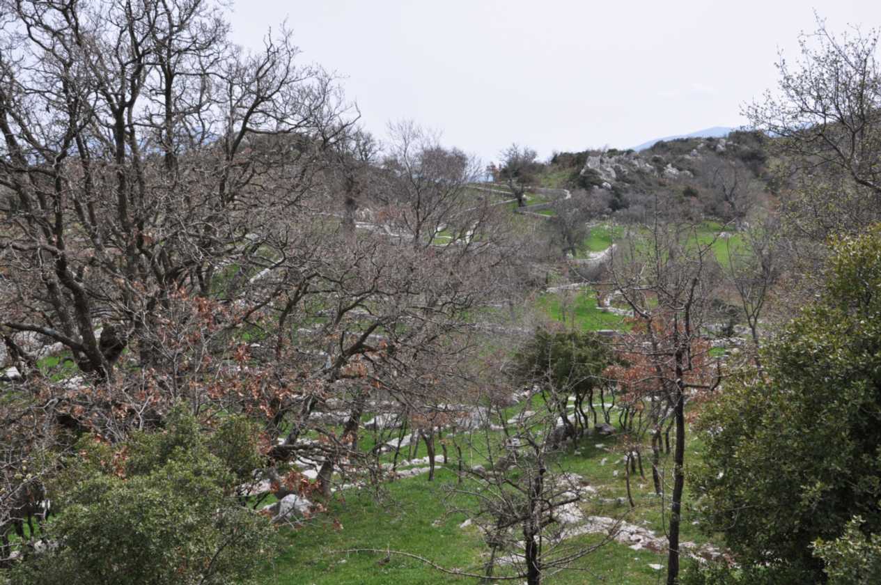 272 Griekenland mrt 2010