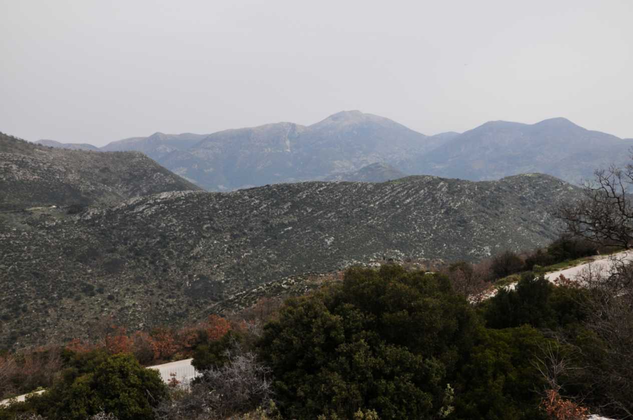 273 Griekenland mrt 2010