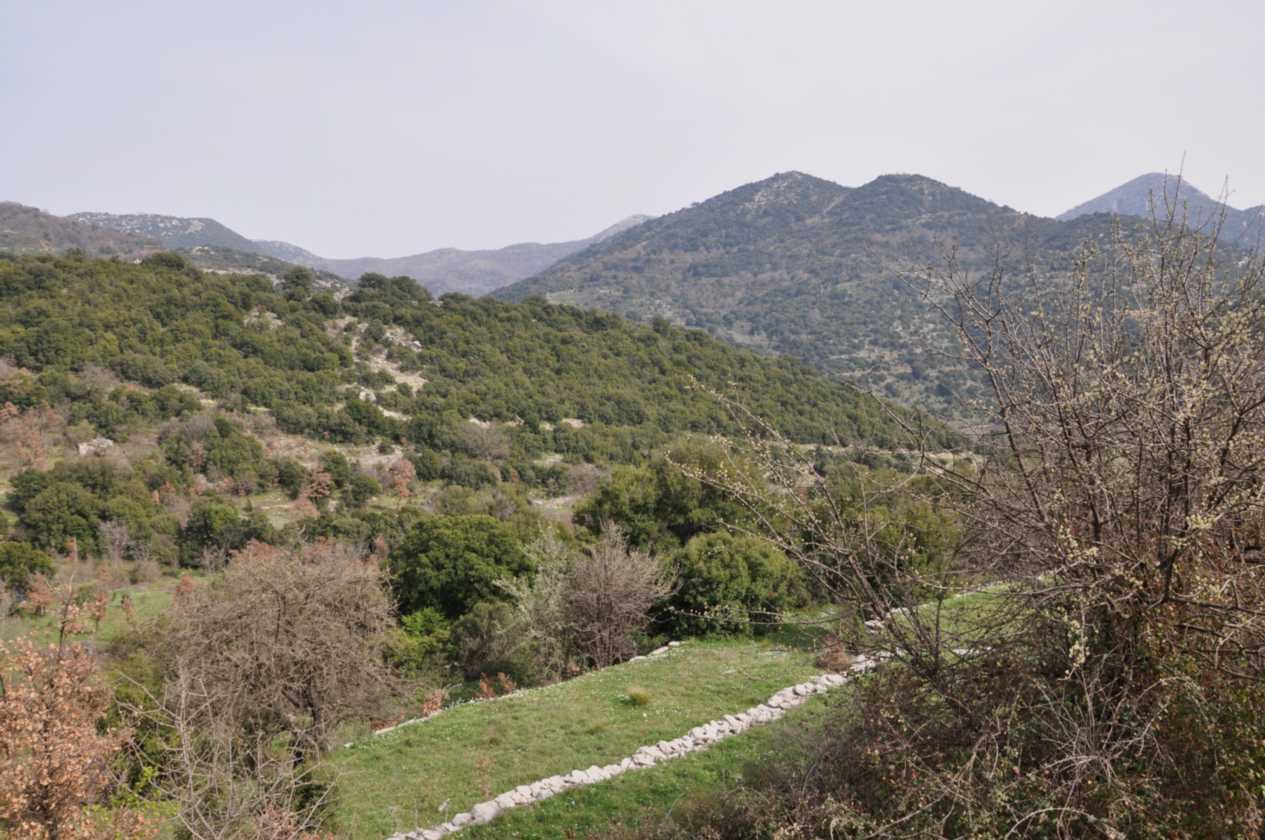 275 Griekenland mrt 2010