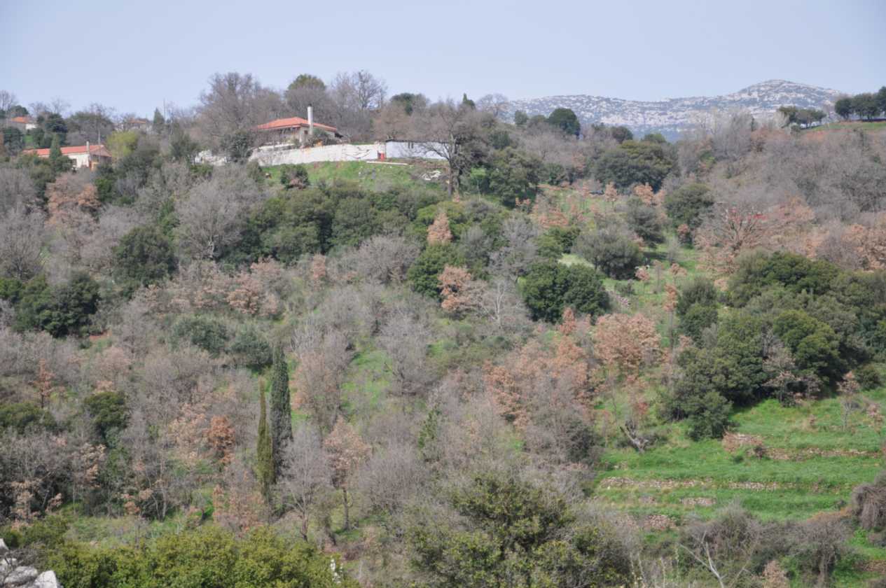 276 Griekenland mrt 2010