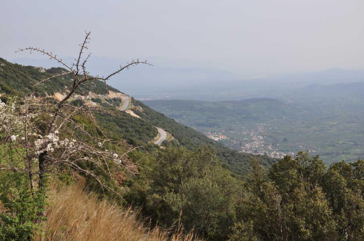 280 Griekenland mrt 2010