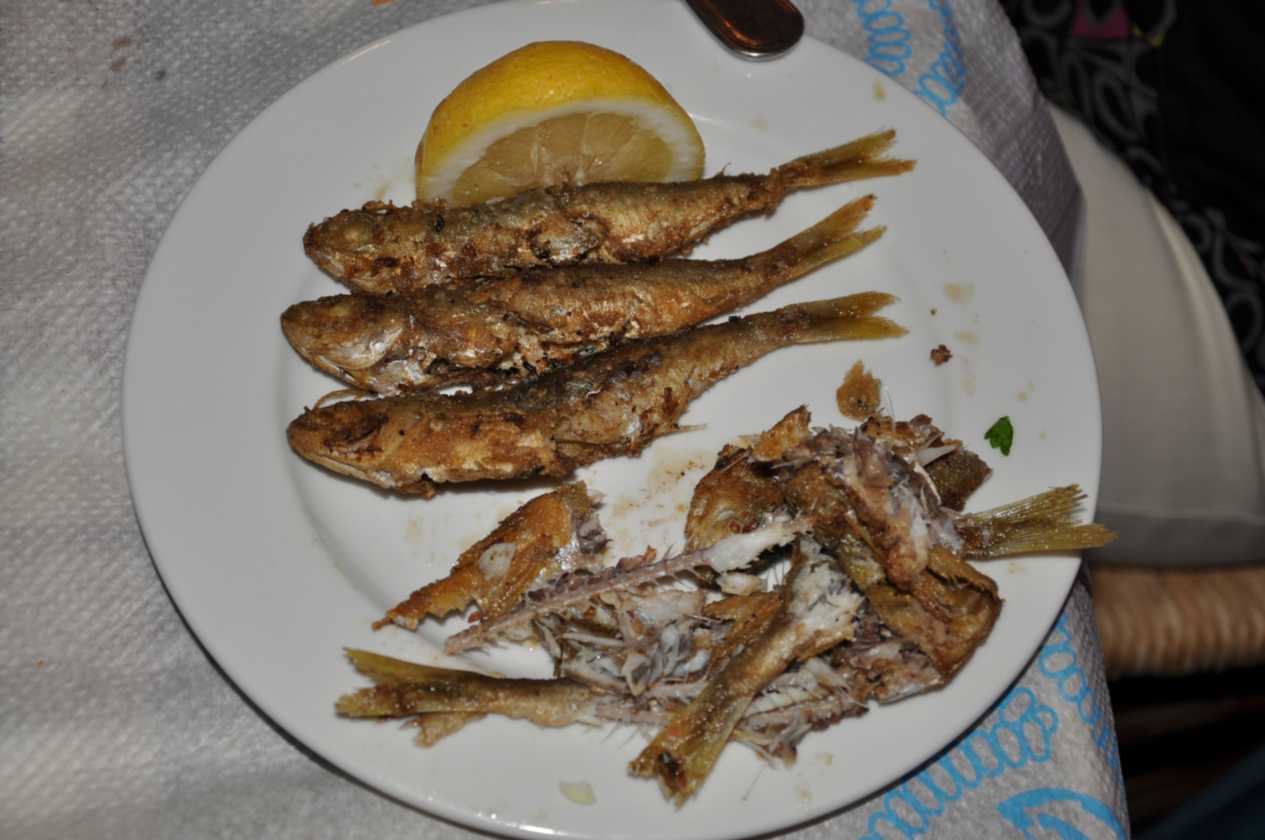 294 Griekenland mrt 2010