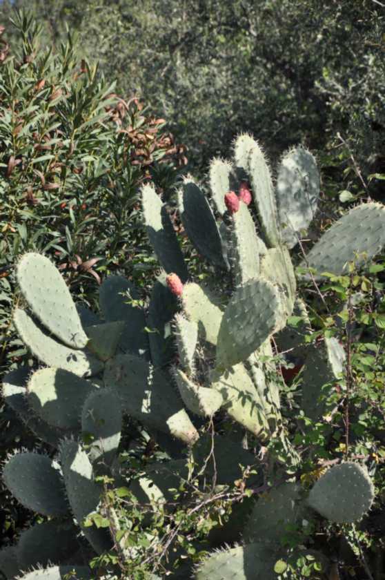 307 Griekenland mrt 2010