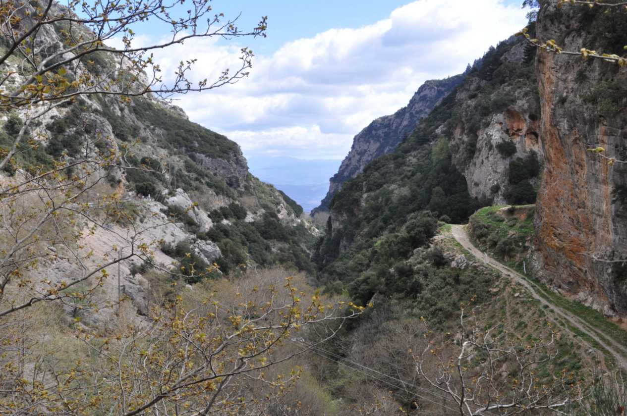 324 Griekenland mrt 2010