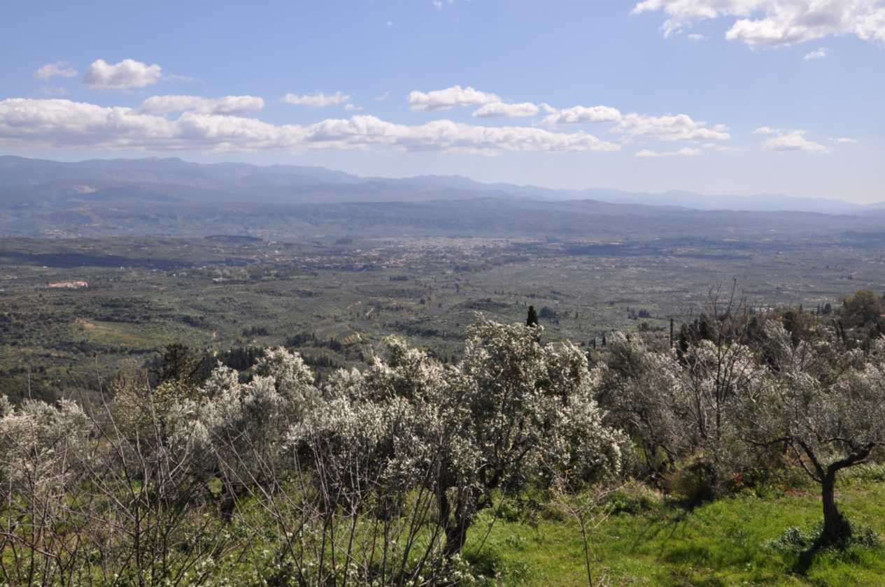 333 Griekenland mrt 2010