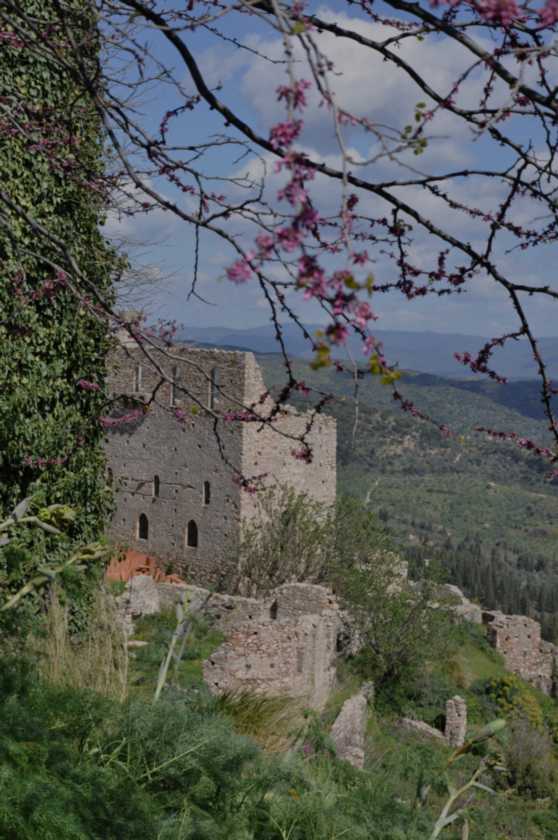 341 Griekenland mrt 2010