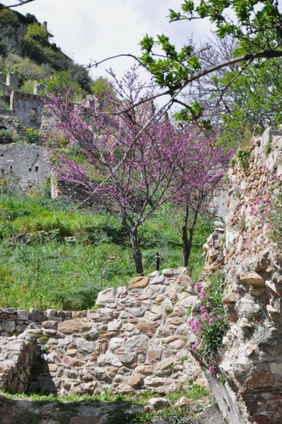 356 Griekenland mrt 2010