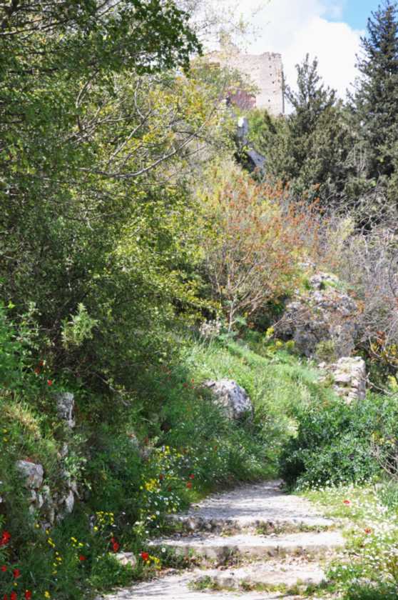 371 Griekenland mrt 2010