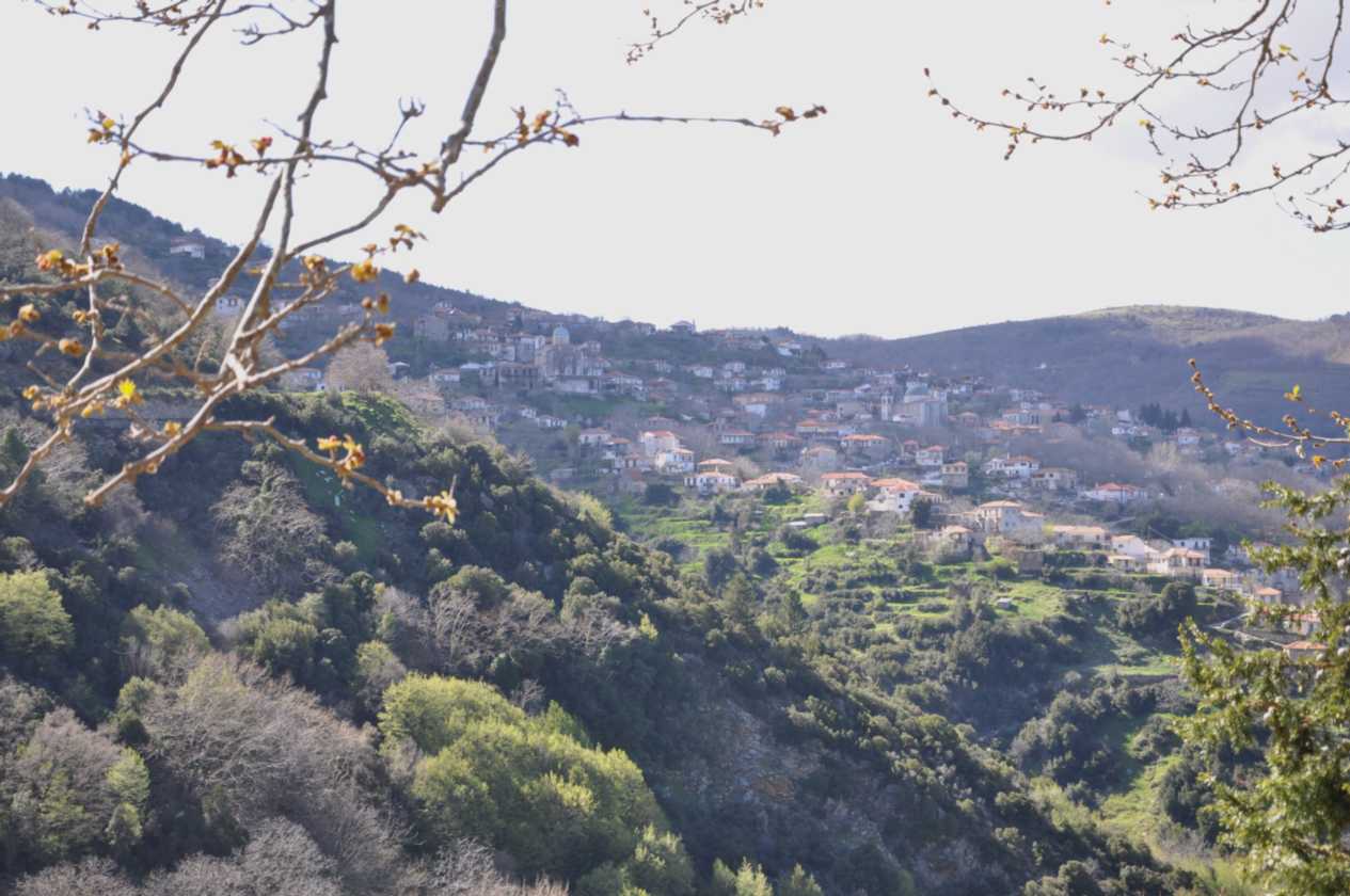 377 Griekenland mrt 2010