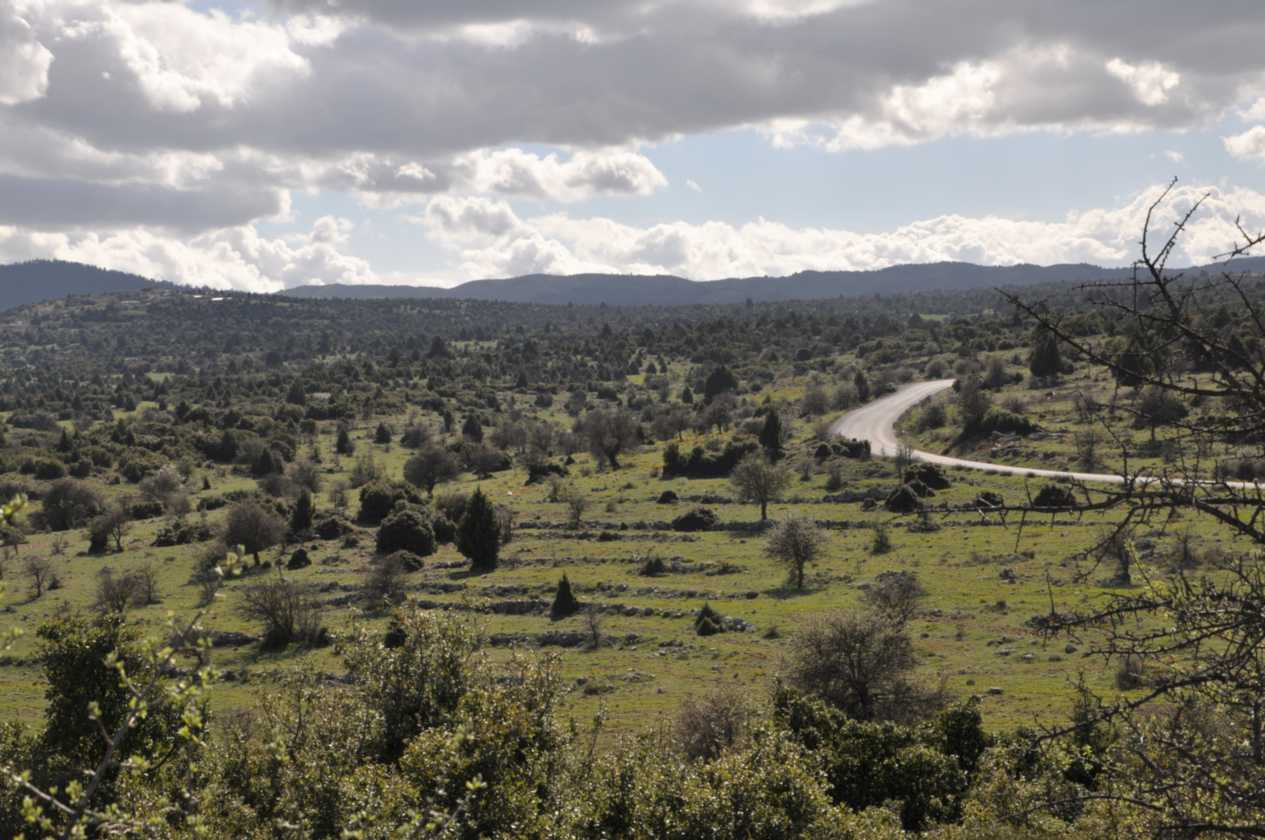 381 Griekenland mrt 2010