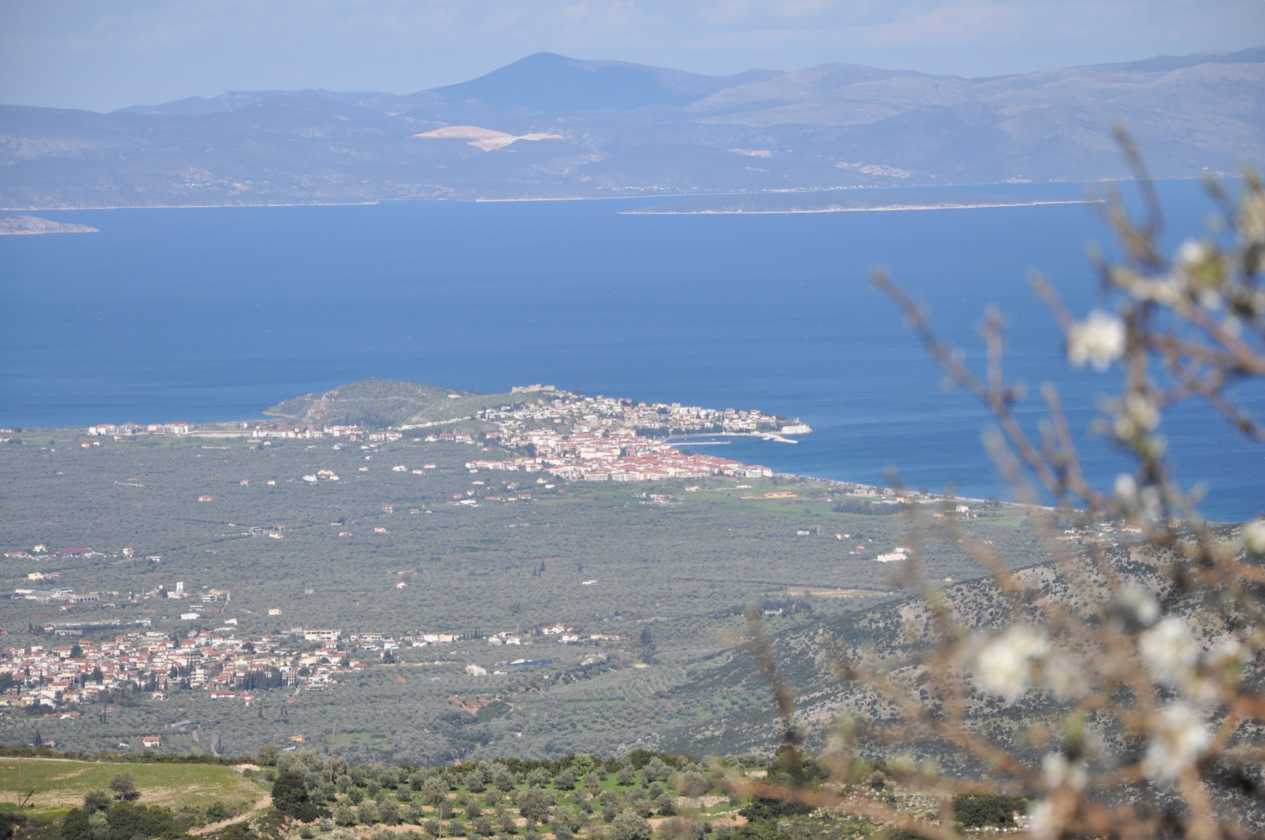 384 Griekenland mrt 2010