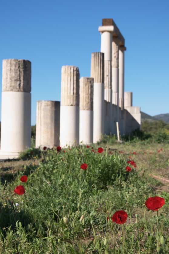 421 Griekenland mrt 2010