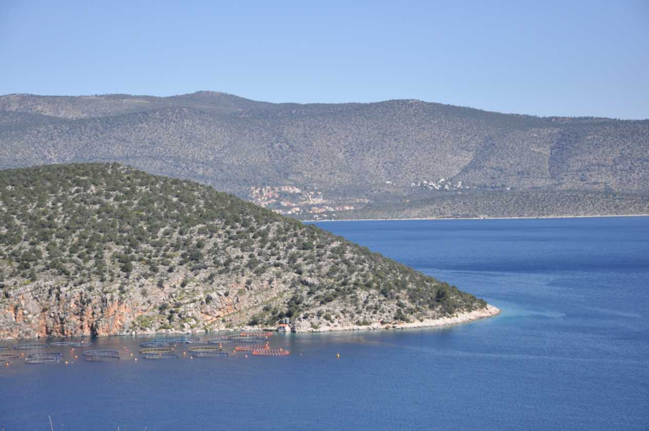 441 Griekenland mrt 2010