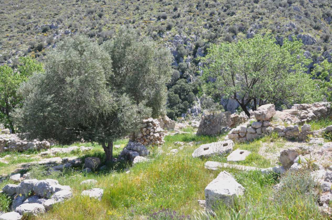 463 Griekenland mrt 2010