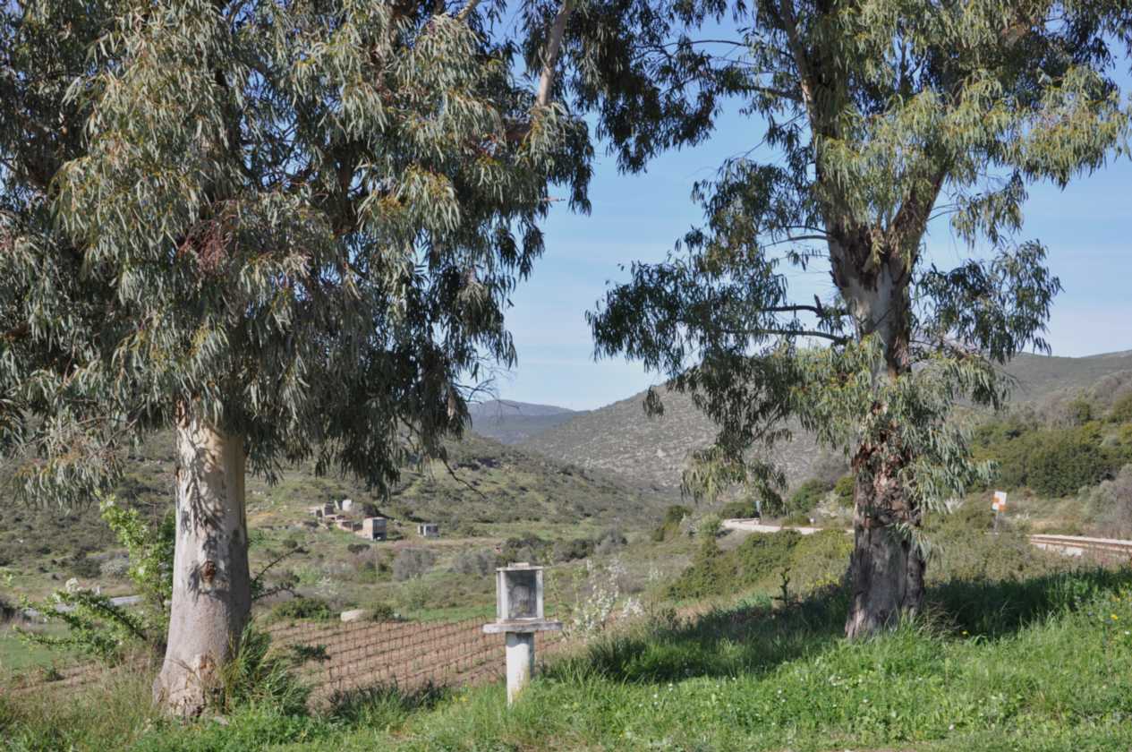 507 Griekenland mrt 2010