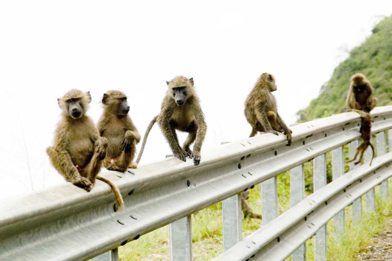 02-tanzania-003