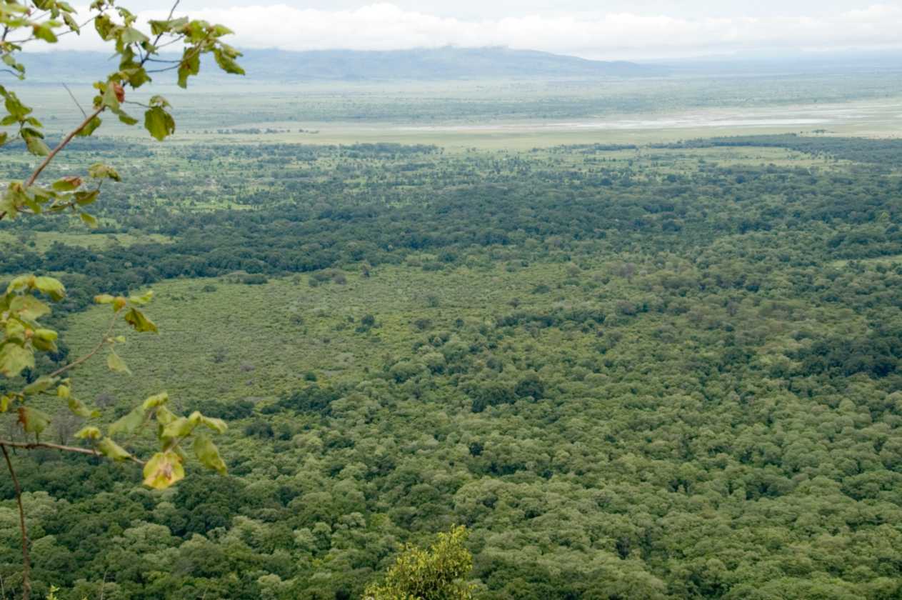 02-tanzania-007