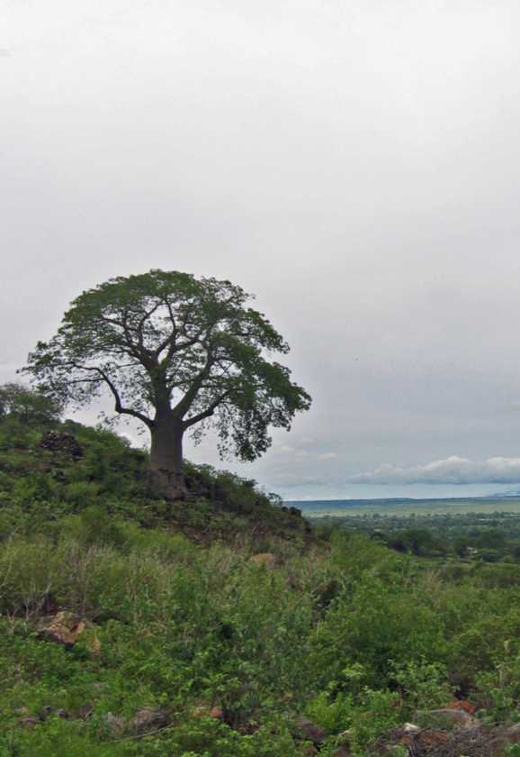 02-tanzania-009