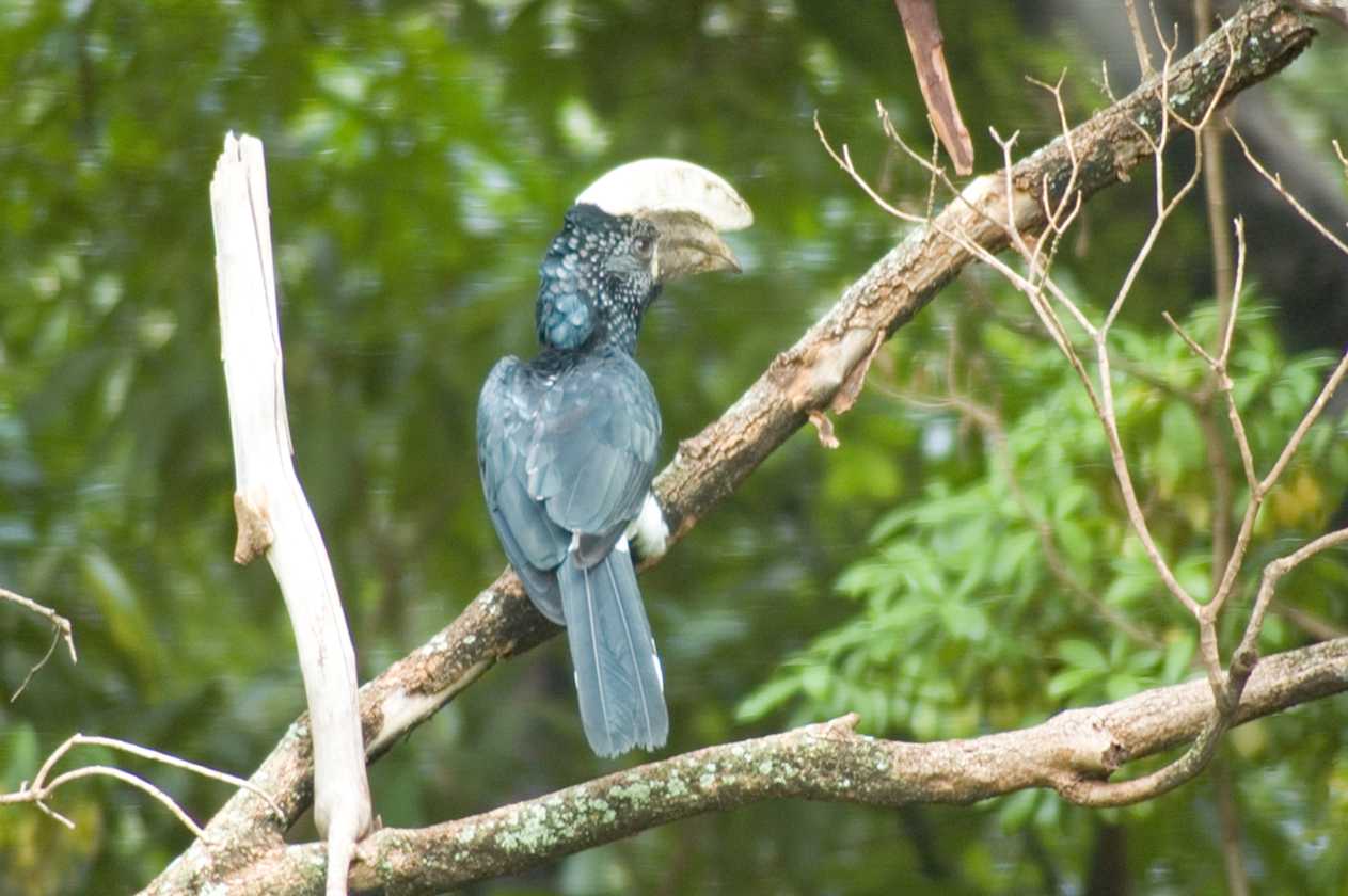 02-tanzania-013
