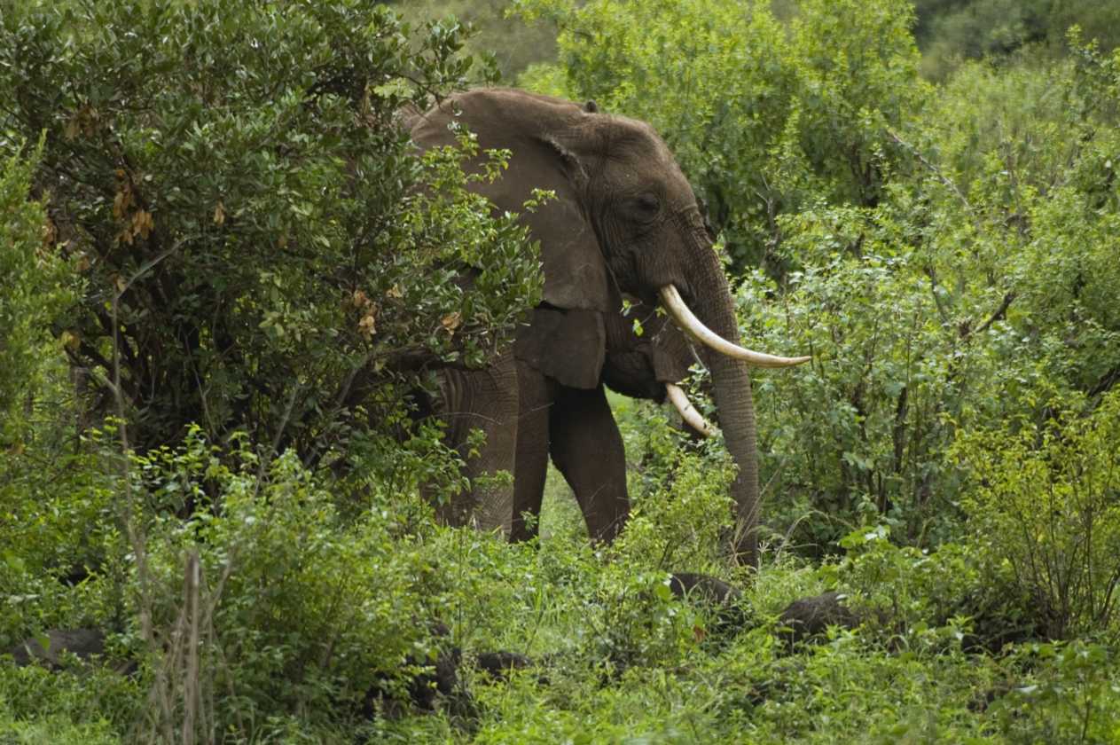 02-tanzania-021