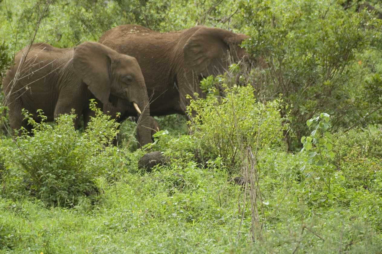 02-tanzania-024