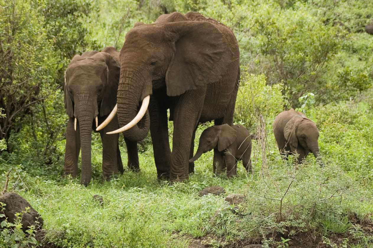 02-tanzania-029