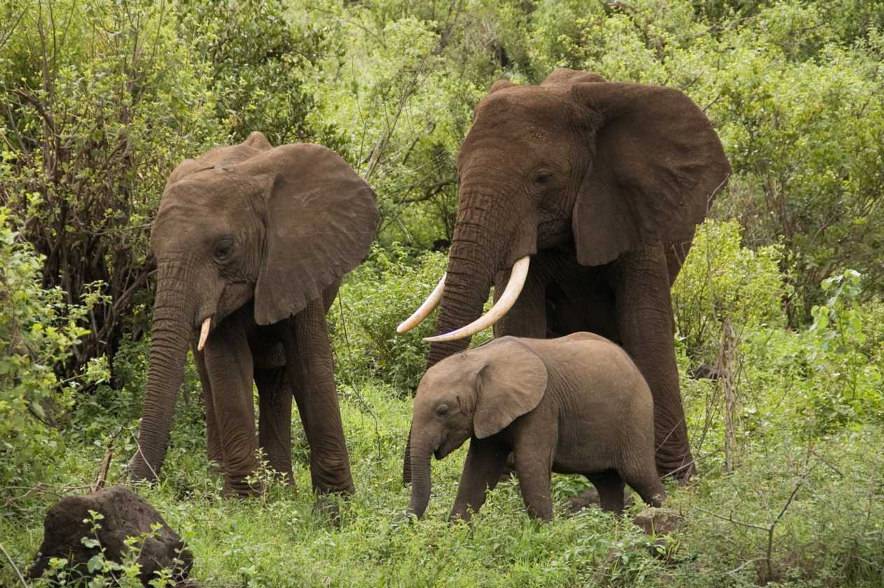 02-tanzania-030