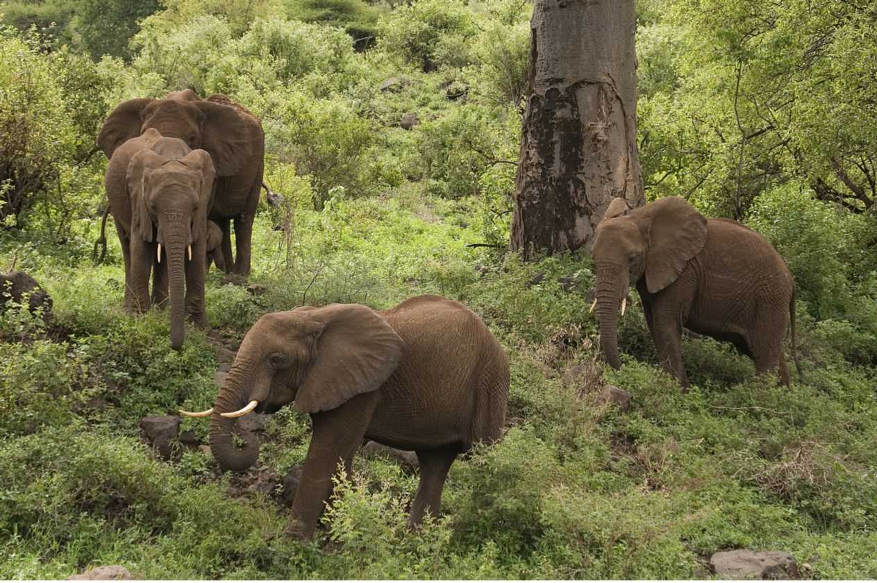 02-tanzania-033