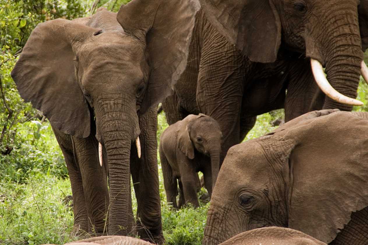 02-tanzania-035
