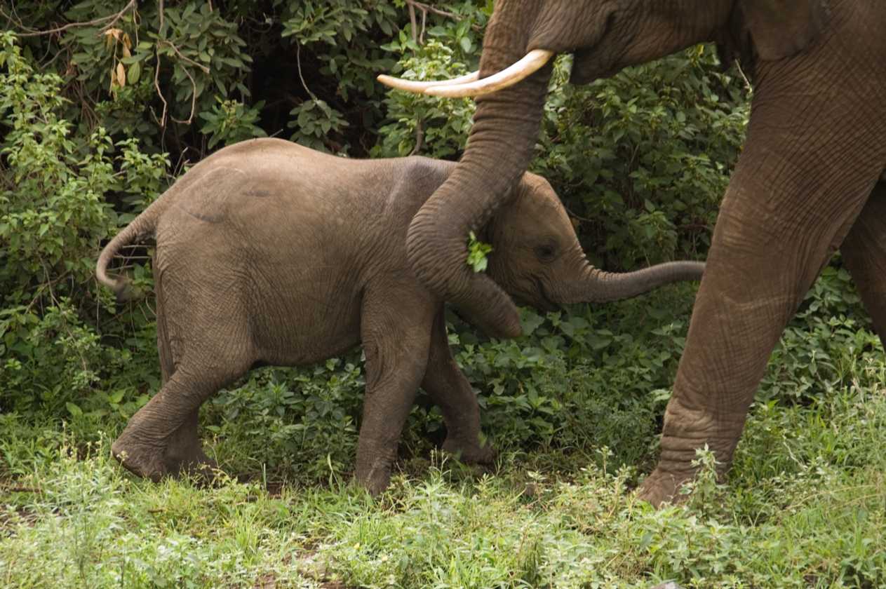 02-tanzania-036