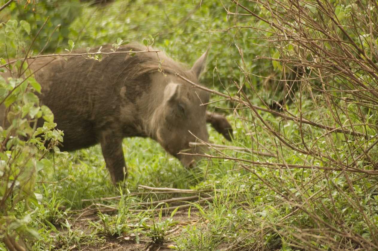 02-tanzania-042
