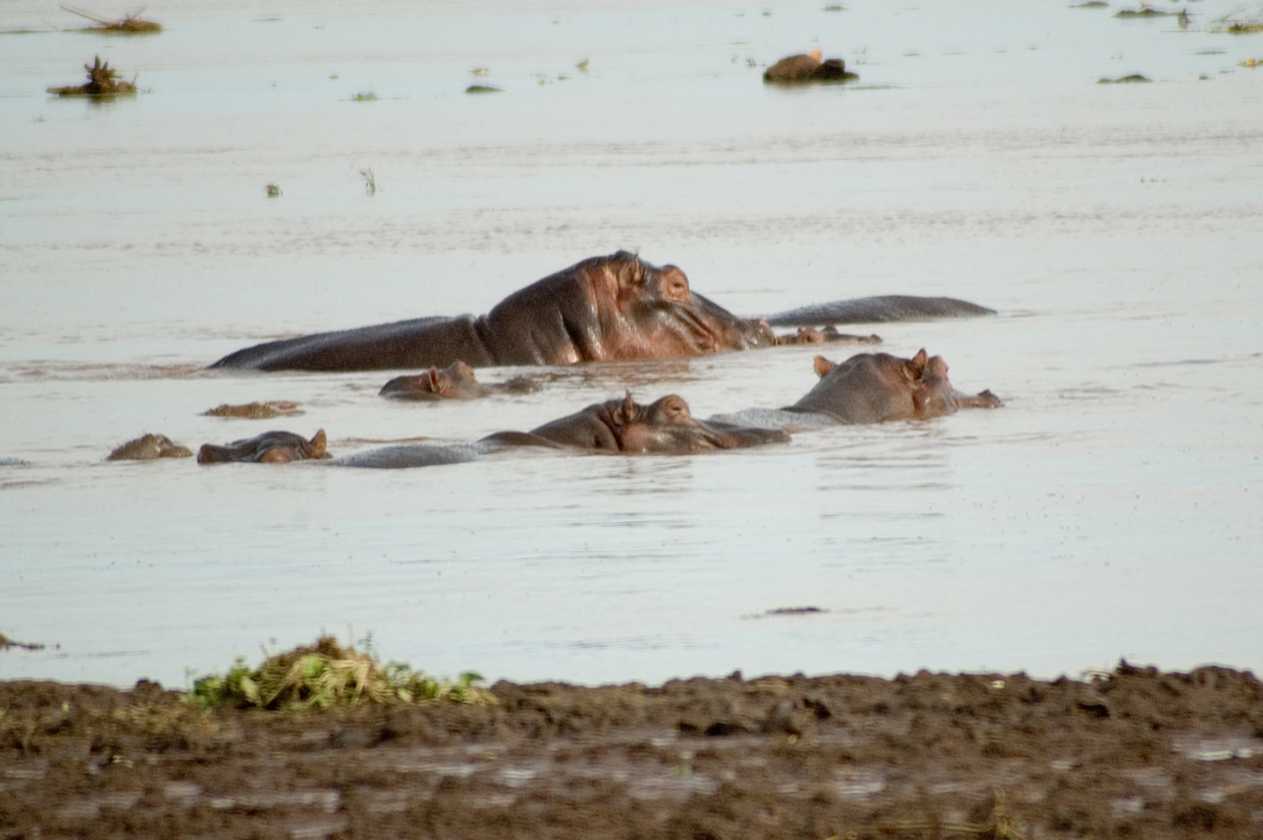 02-tanzania-079