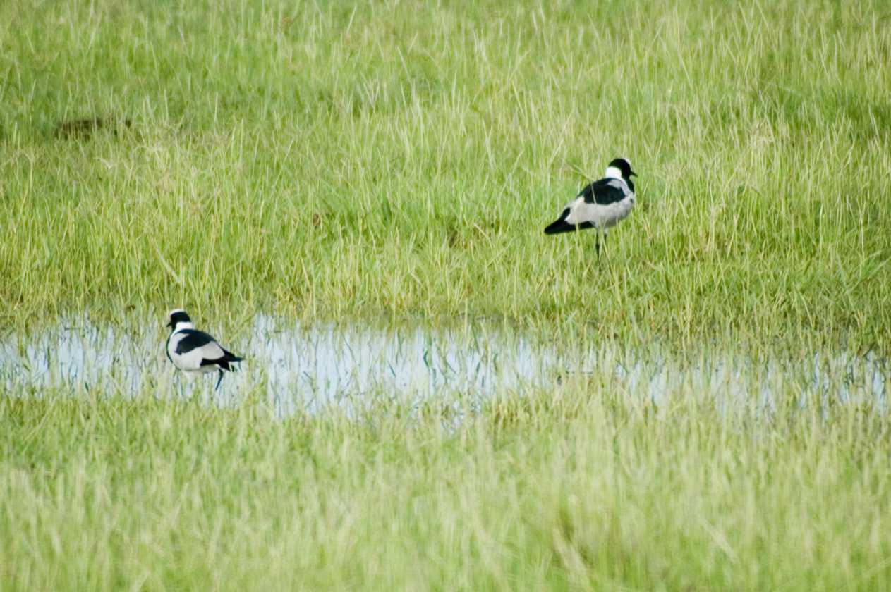 02-tanzania-095