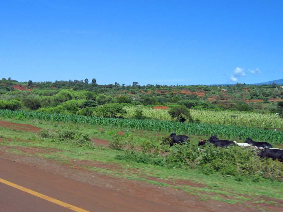 03-tanzania-05