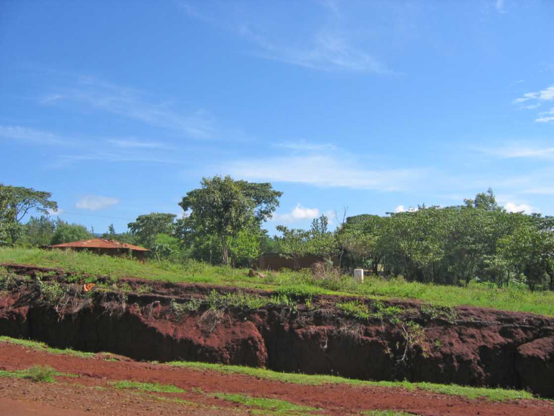 03-tanzania-06