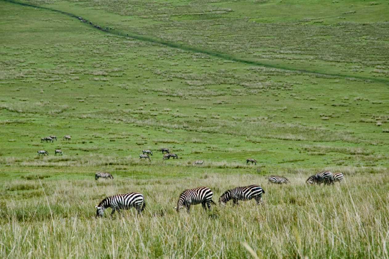 03-tanzania-14