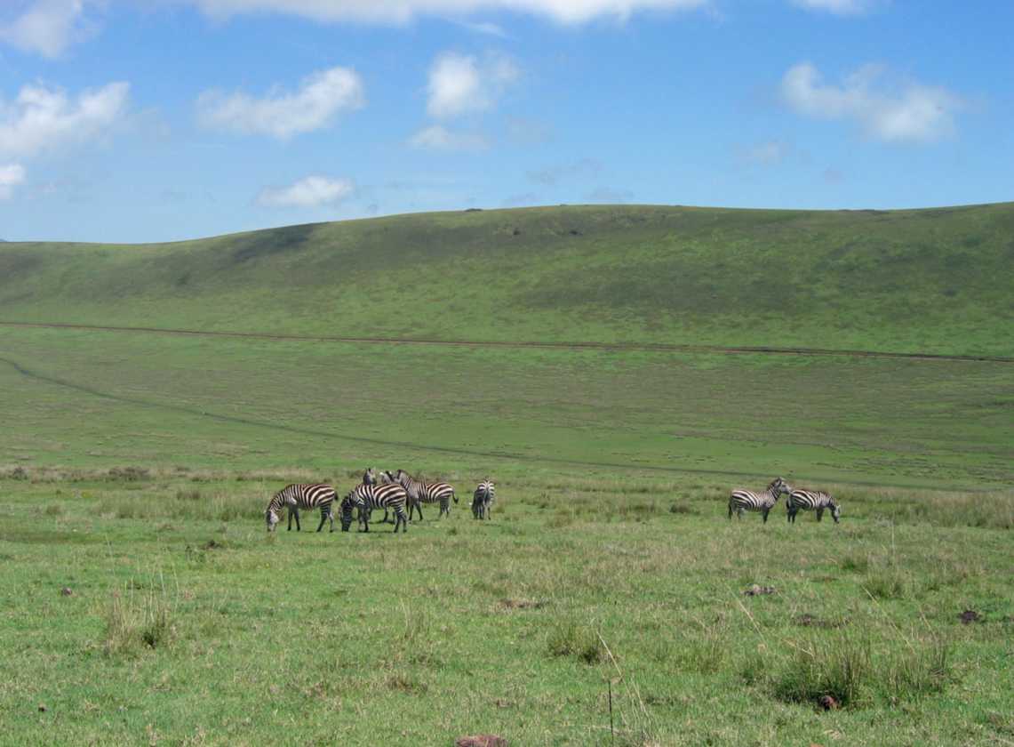 03-tanzania-15