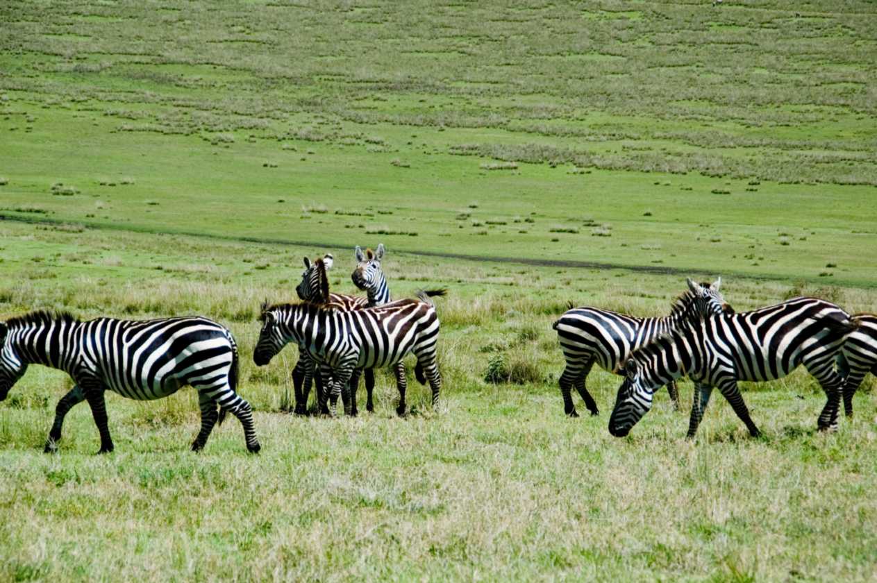 03-tanzania-16